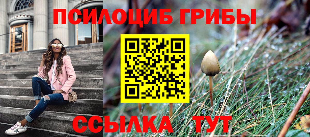 Псилоцибиновые грибы мухоморы  Галлюциногенные грибы Psilocybe  Вход с VPN  Сибай 